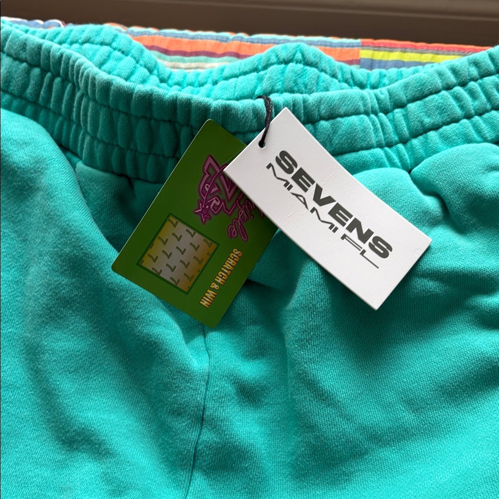 Crazy deals Triple  Sevens Teal Graphic Sweatpants size XL oversized nwt - Picture 3 of 11